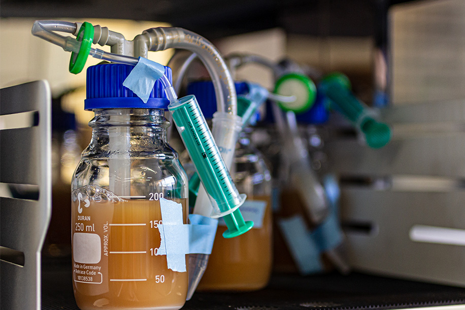 Valorization of industrial waste for the production of bioplastics via fermentation